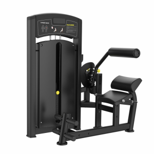 Разгибание спины, арт.AM8-009