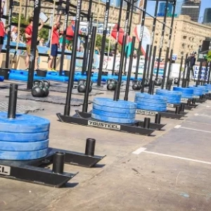 Сани Н-образного типа